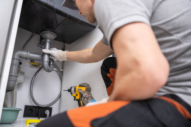 Best Garbage Disposal Repair and Installation  in Lewisburg, TN